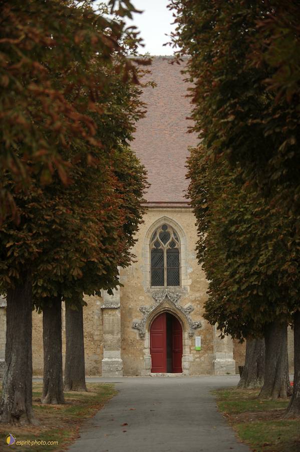 Nom de l'image : D30080435_1_(c)Norbert-JUNG — Description :